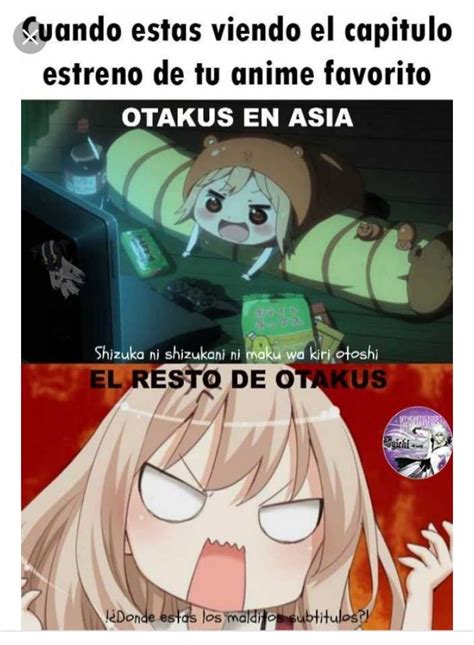 otaku memes|More.